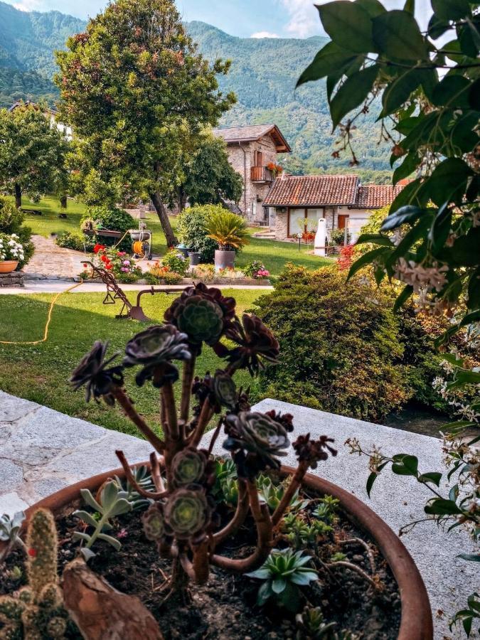 La Roggia - Lake Como Heritage Home In Molino Maufet Watermill - Patio On The Garden Colico Zewnętrze zdjęcie